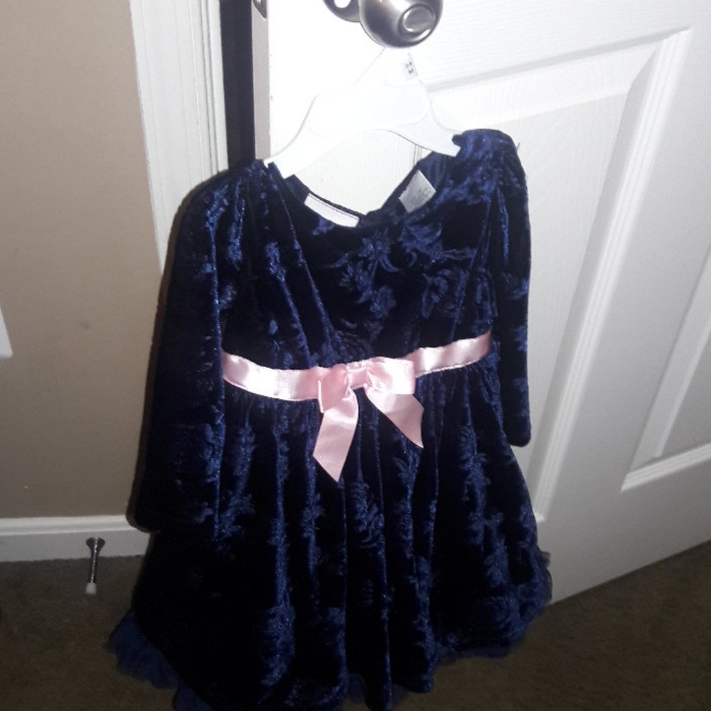 Blueberi Boulevard Beautiful polyester blend toddler Girls dress. EUC